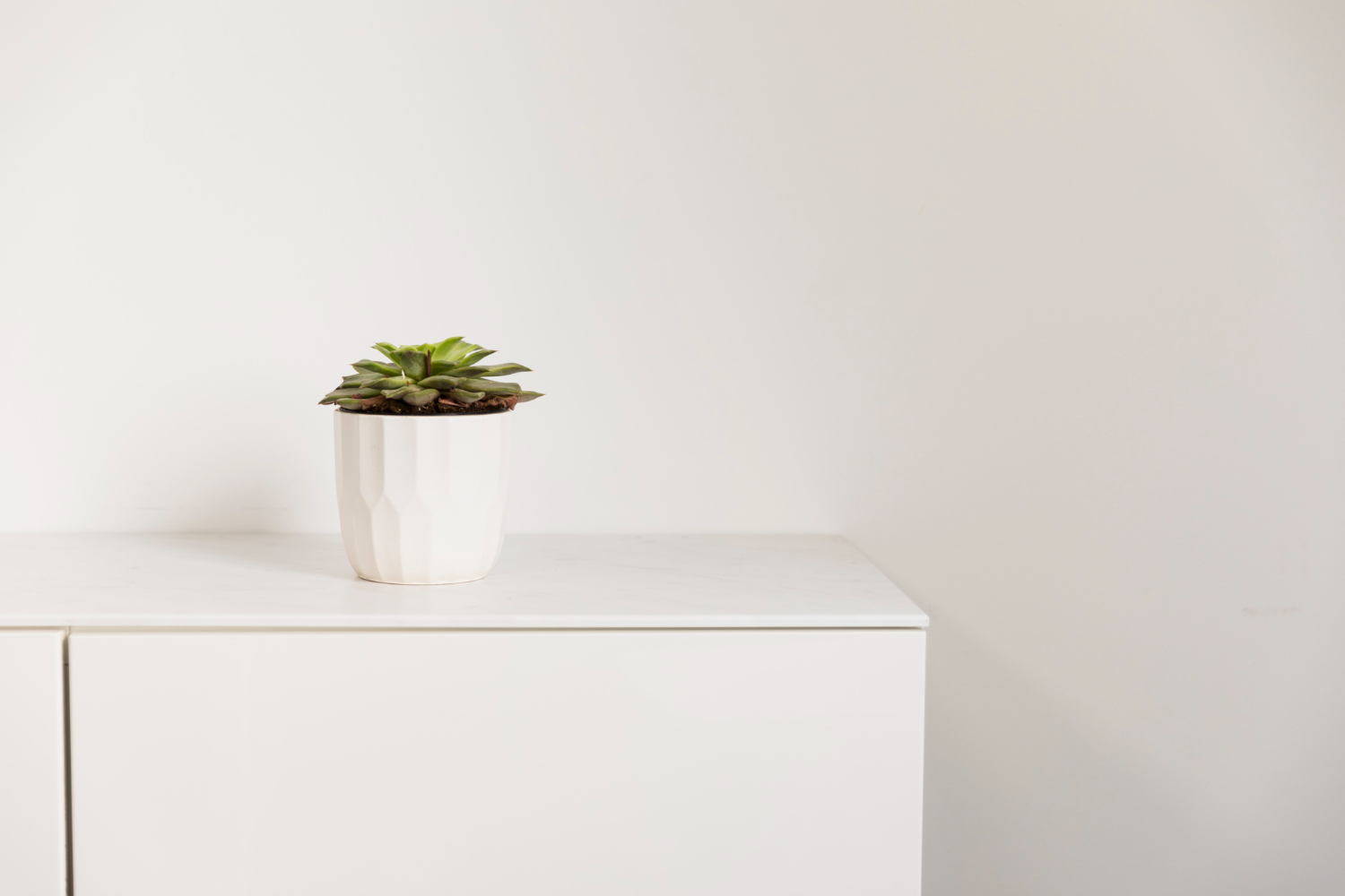 COREWOOD High Strength and Structurally Stable Boards for Heavy Furniture